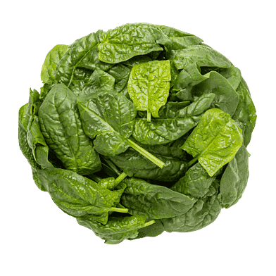 Bladspinat