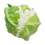 Blomkål (DK)