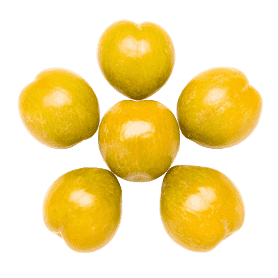 Blommer – Sun Gold