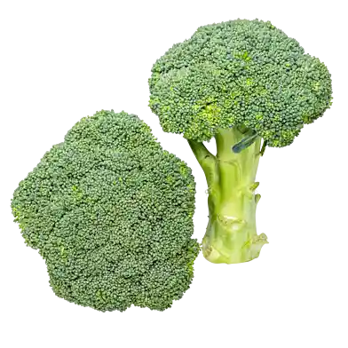 Broccoli