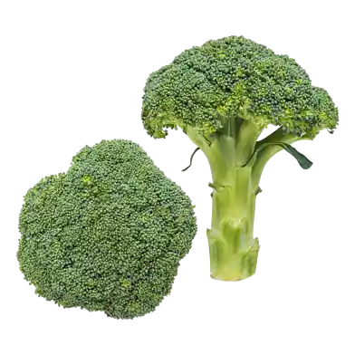 Broccoli