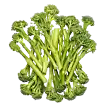 Aspargesbroccoli (DK)