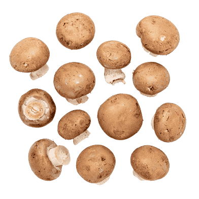 Brune champignon