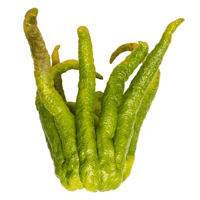 Buddhas hand