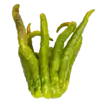 Buddhas hånd, grøn