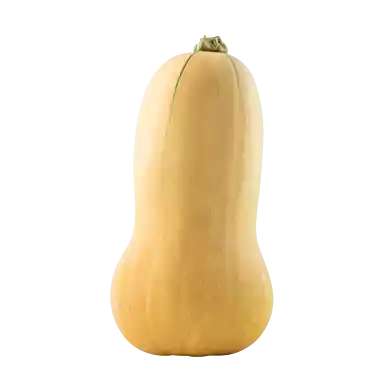 Butternut-squash