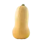 Butternut-squash (DK)