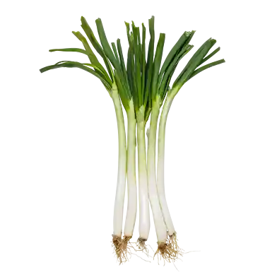 Calçots