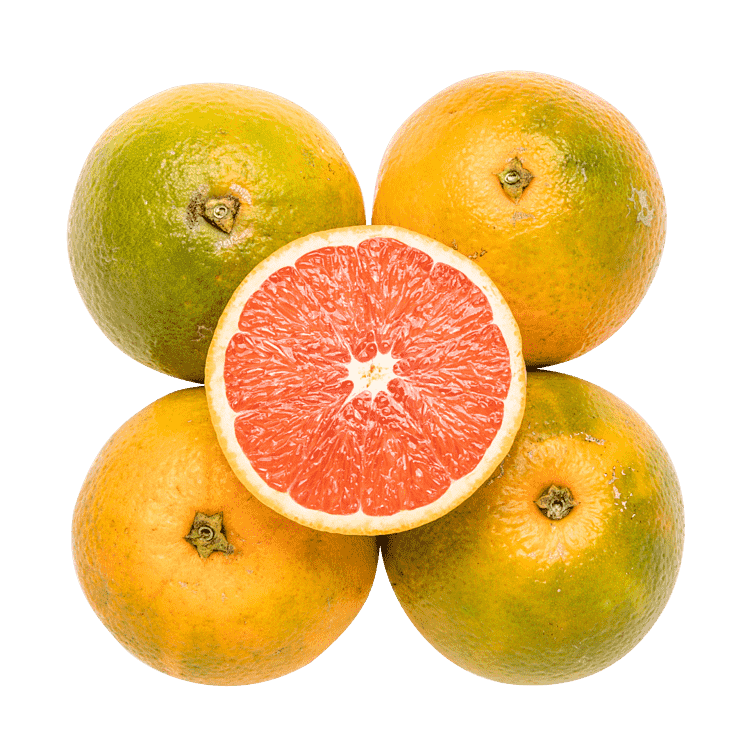Cara Cara-appelsiner