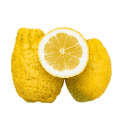 Cedrat-citroner