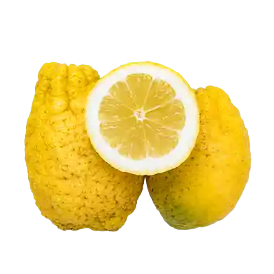 Cedrat-citroner