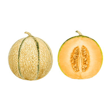 Charentais-melon