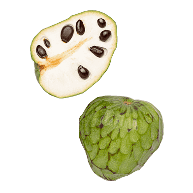 Cherimoya
