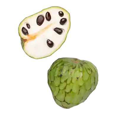 Cherimoya