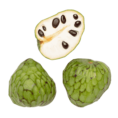 Cherimoya