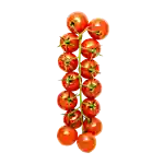 Cherrytomater på gren