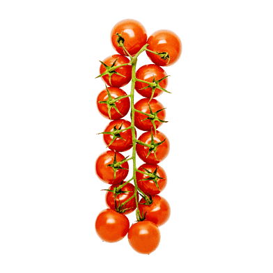 Cherrytomater på gren
