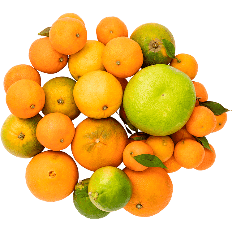 Citruslådan