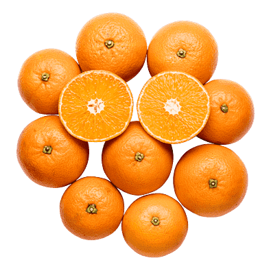 Clementiner i net
