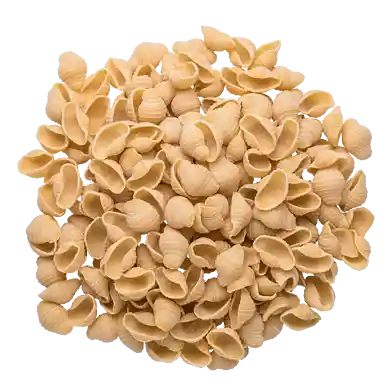 Conchiglioni