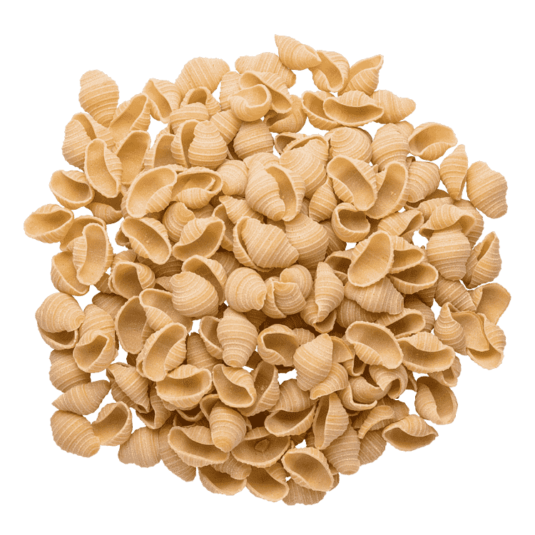 Conchiglioni, fuldkorn