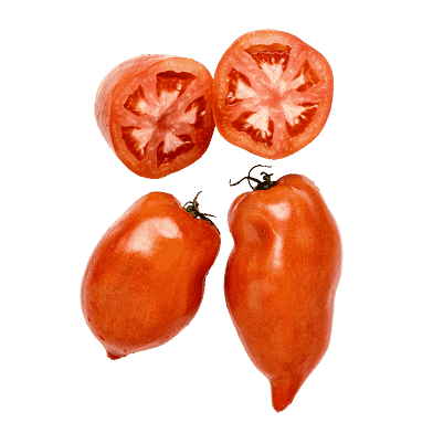 Cornue des Andes-tomater