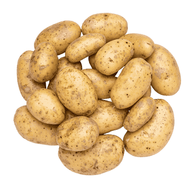 Darling-potatis