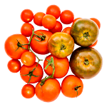 Den Lille Tomatkasse