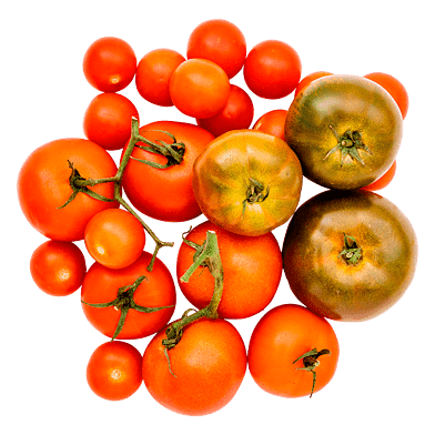 Den lille tomatkasse