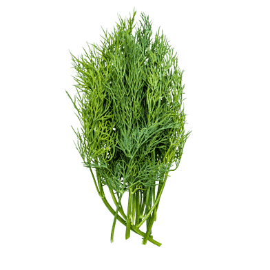 Dill