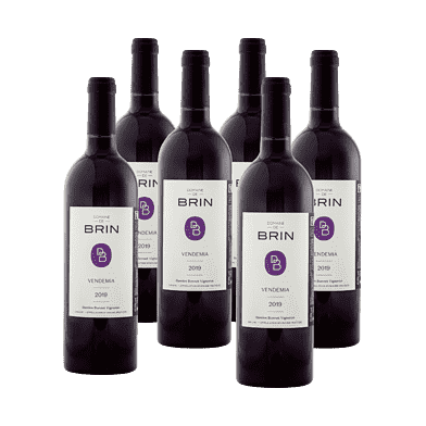 Domain de Brin Vendemia