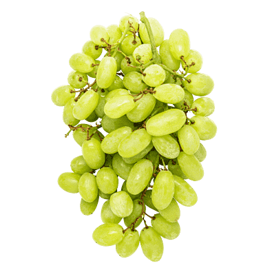 Druer – Grønne, stenfri