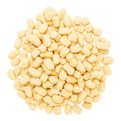 Färsk gnocchetti