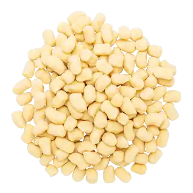 Färsk gnocchetti