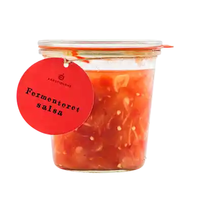 Fermenteret salsa