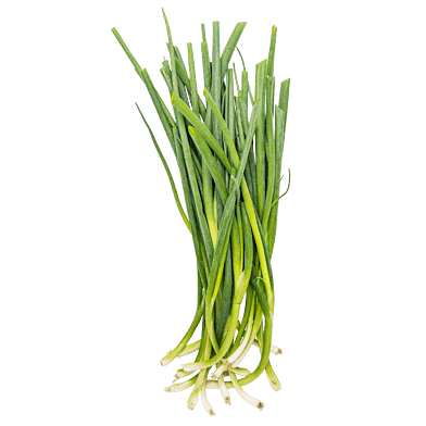 Forårsløg