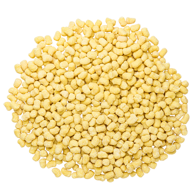 Frisk gnochetti