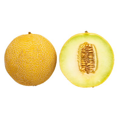 Galia-melon
