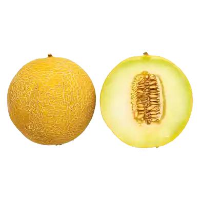 Galia-melon