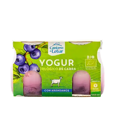 Getyoghurt m/blåbär 4% 2x125g