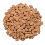 Mandlar