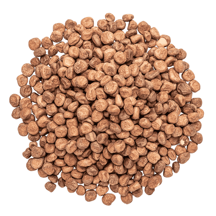 Gråärt