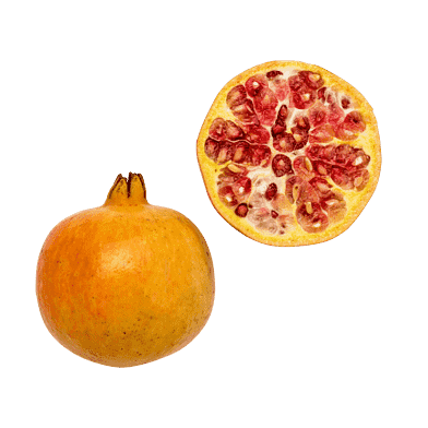Granatäpple - Mollar de Elche