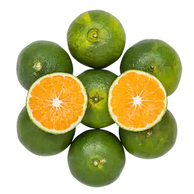 Gröna satsumas