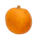 Halloween-græskar (DK)