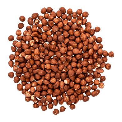 Hasselnötter
