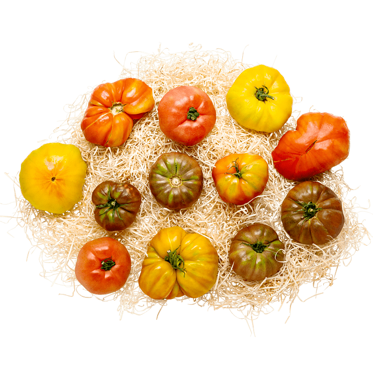 Heirloomtomatlådan