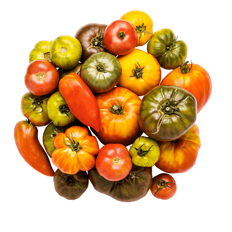 Heirloom-tomater i kasse