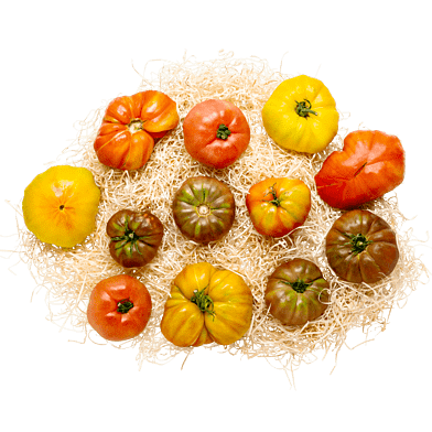 Heirloomtomatlådan