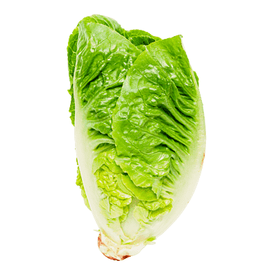 Hjertesalat